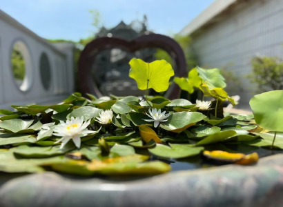 CÔNG TY TNHH ĐÁ CAO CẤP THÁI BÌNH