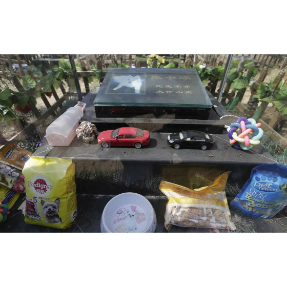 Khắc bia mộ thú cưng