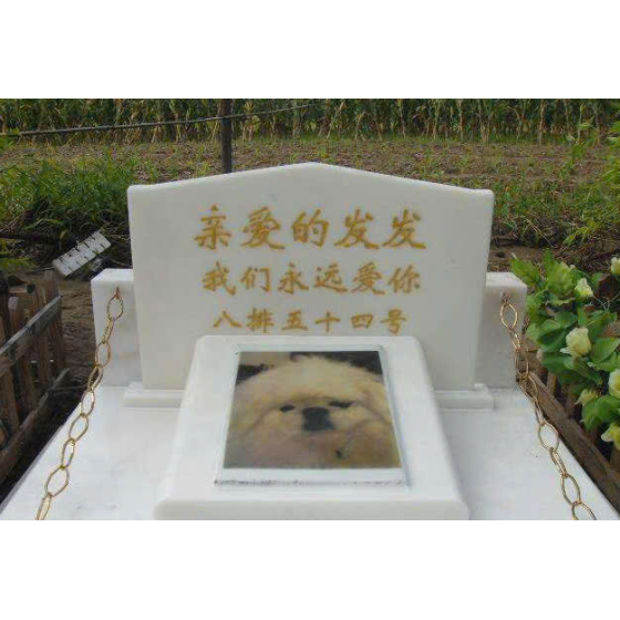 Bia mộ thú cưng hình trái tim