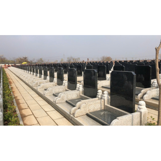 Mộ cải táng(bốc mộ)