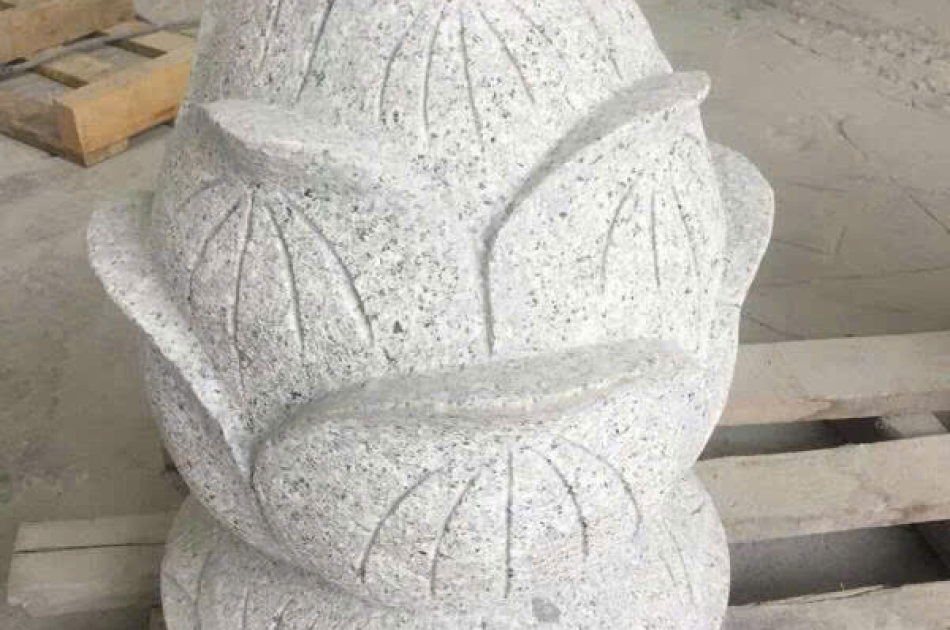 Sen đá đẹp nhất, búp sen đá để mộ