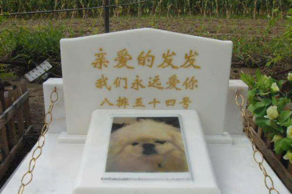 Khắc bia mộ thú cưng
