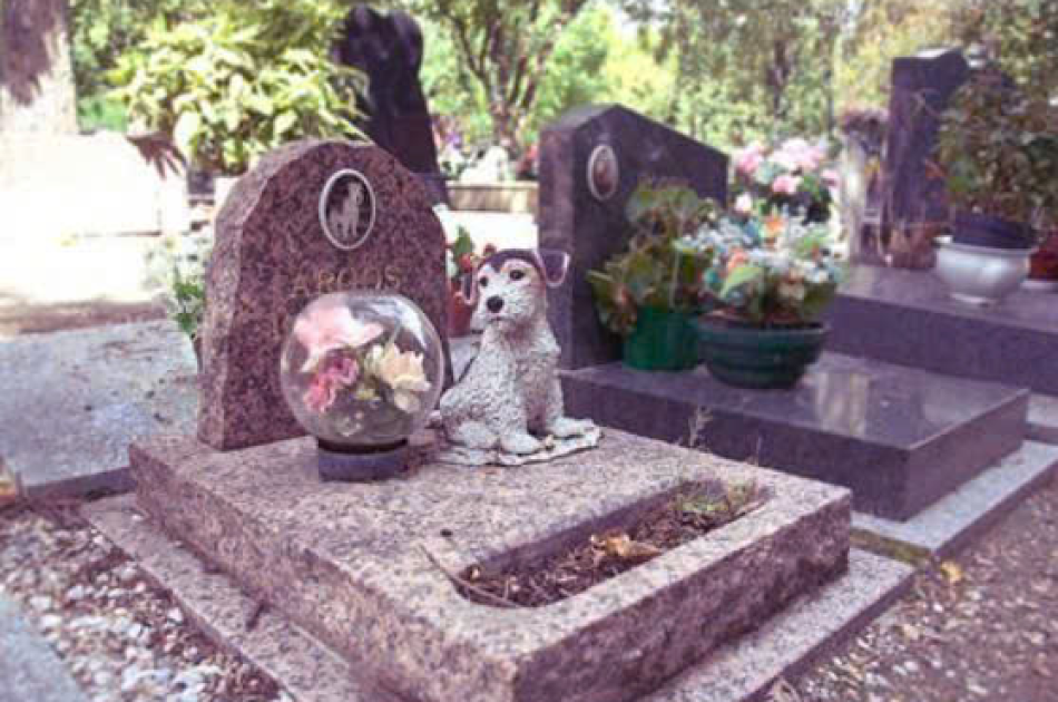  Cách làm bia mộ cho thú cưng