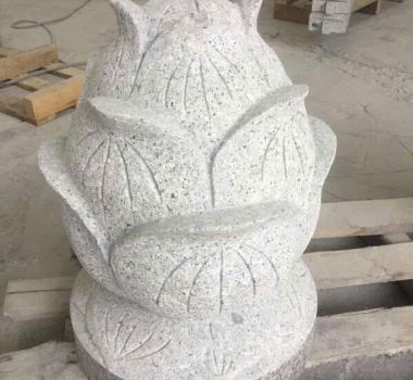 Sen đá đẹp nhất, búp sen đá để mộ