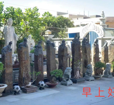 Mẫu Con Giống Đá Đẹp Cao Câp